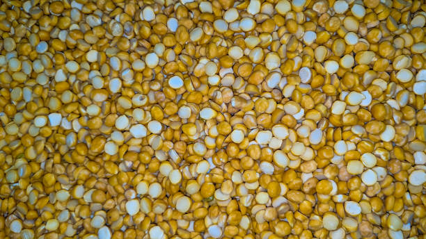 The Matel International - WhatsApp Image 2025-09-29 at 10.23.47 AM (1)